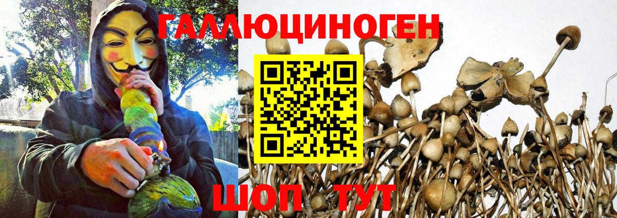 Псилоцибиновые грибы Magic Shrooms Грязи