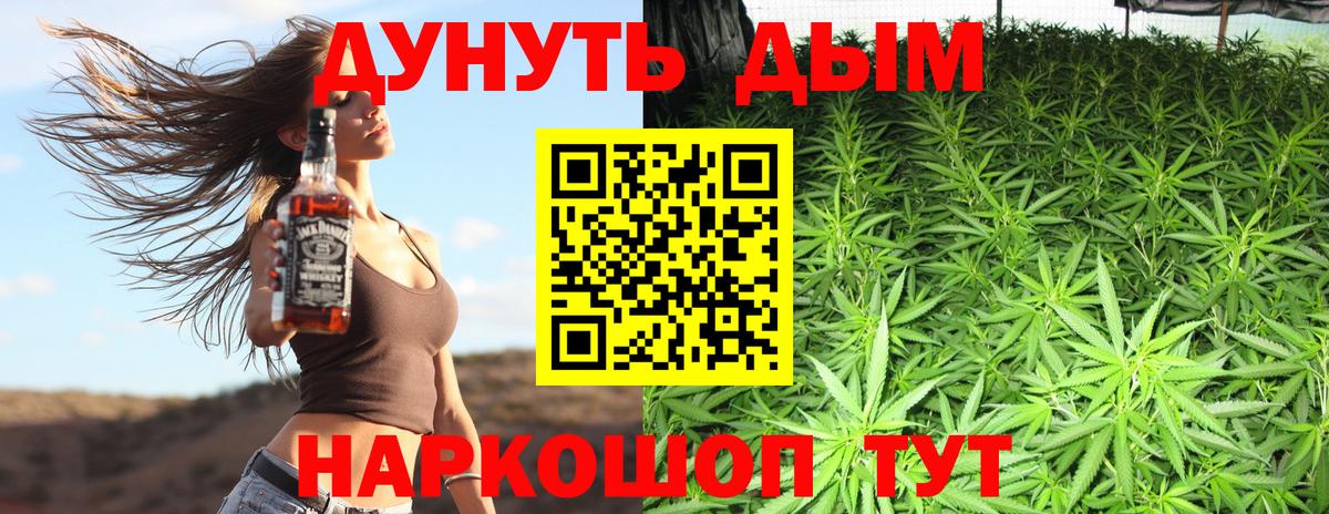 Марихуана сатива  Грязи  Конопля сатива  Шишки марихуана White Widow 